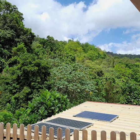 La Poulette Amazonienne Villa Riviere-Pilote Exterior photo