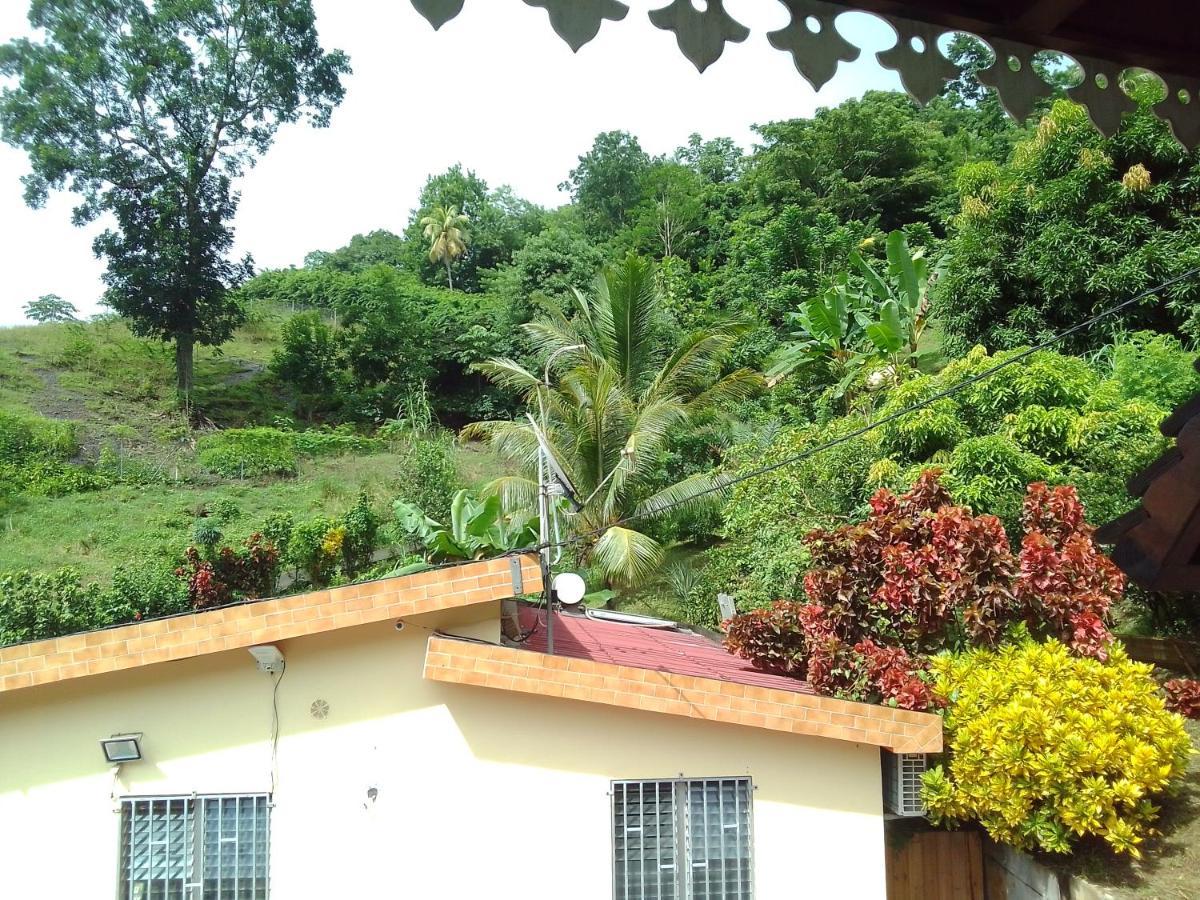 La Poulette Amazonienne Villa Riviere-Pilote Exterior photo