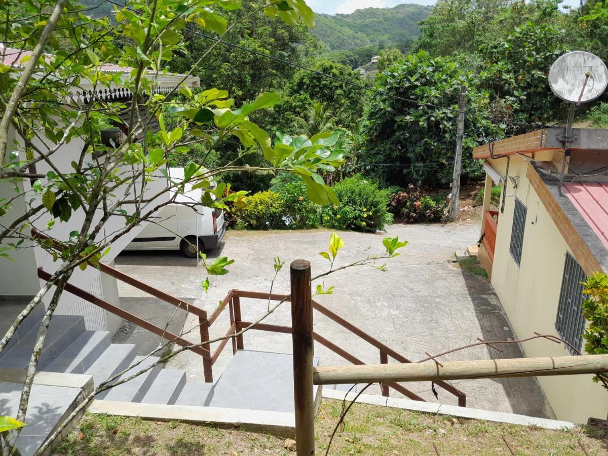 La Poulette Amazonienne Villa Riviere-Pilote Exterior photo