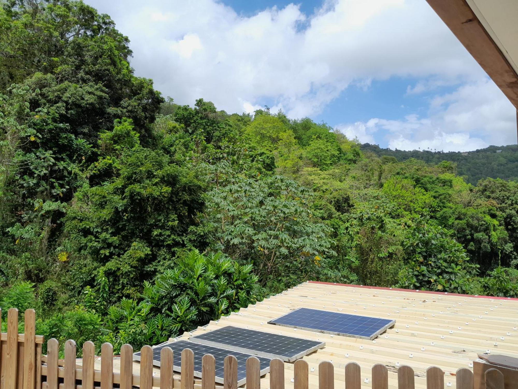 La Poulette Amazonienne Villa Riviere-Pilote Exterior photo