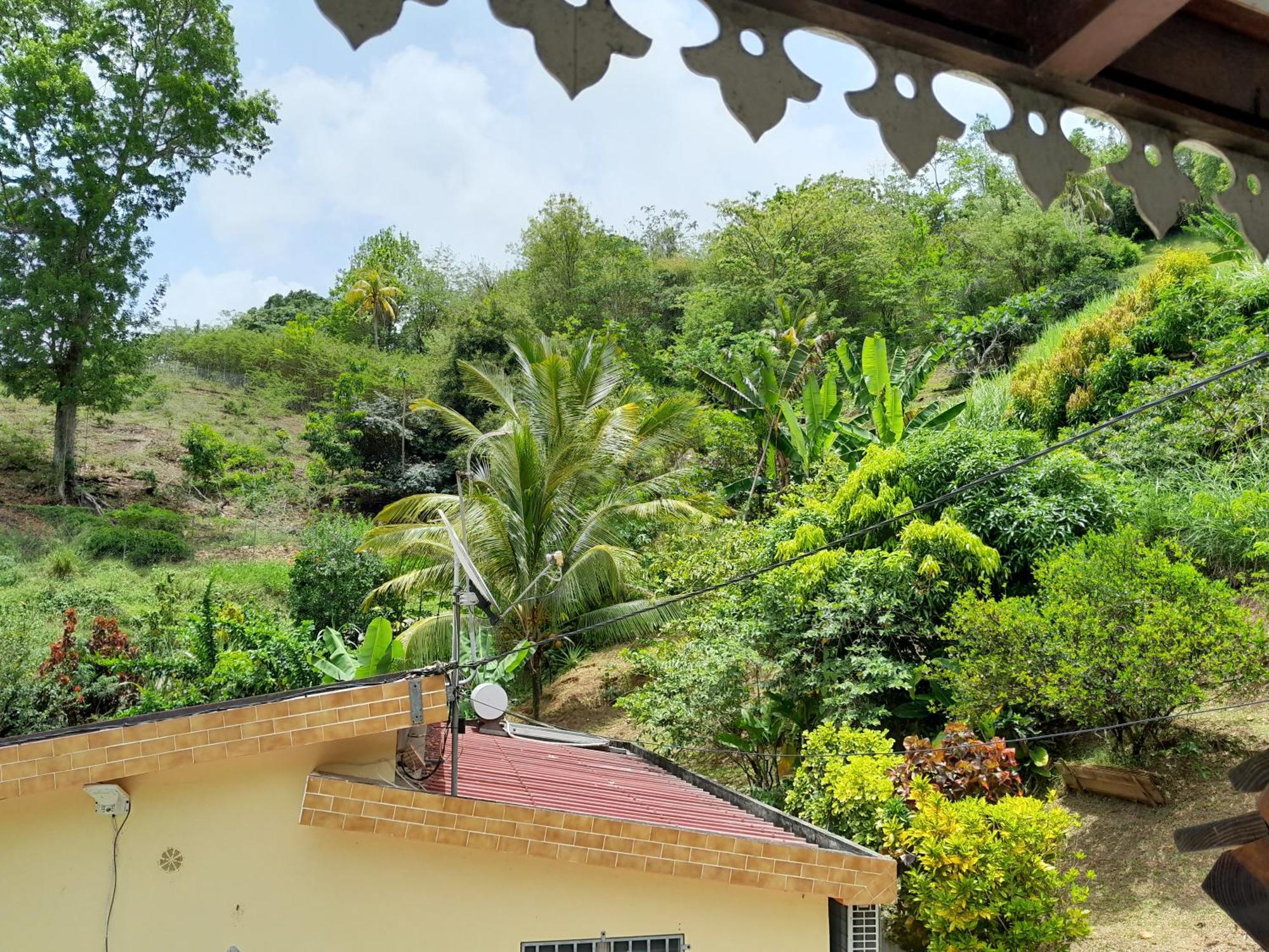 La Poulette Amazonienne Villa Riviere-Pilote Exterior photo